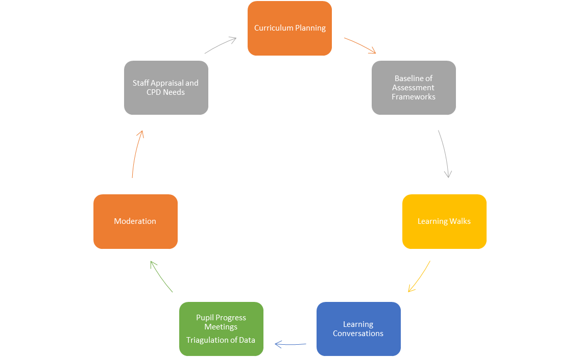 Curriculum Cycle